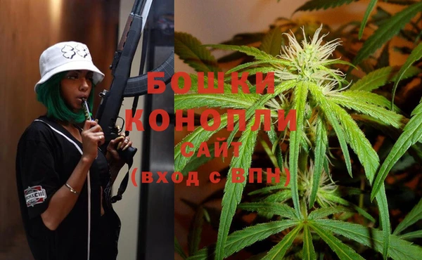 ПСИЛОЦИБИНОВЫЕ ГРИБЫ Абдулино