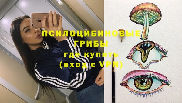 гашик Абинск