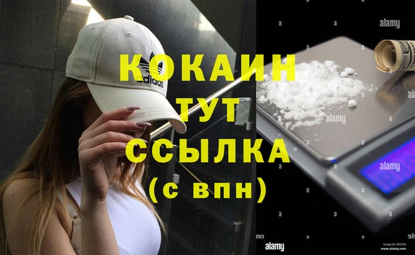 стафф Абаза