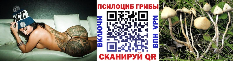 наркотики  Ангарск  Галлюциногенные грибы мицелий 