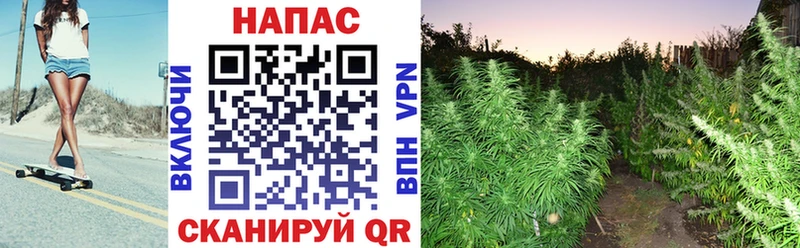 Каннабис марихуана где продают наркотики blacksprut ССЫЛКА Ангарск
